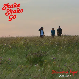 Diamond Eyes (Acoustic) by Shake Shake Go