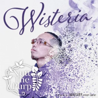 Wisteria by Nutt The Purp