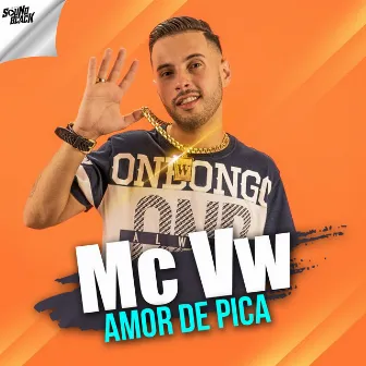 Amor de Pica by MC VW