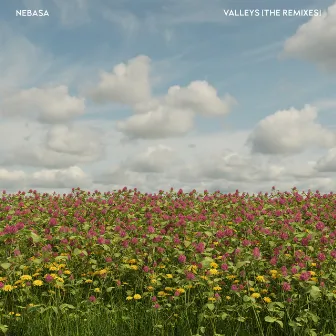 Valleys (The Remixes) by Nebasa