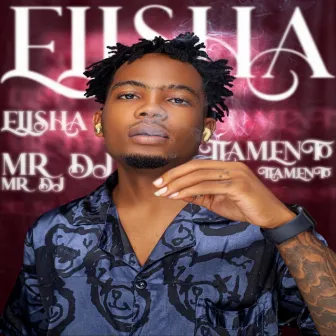 Mr Dj by Dogo Elisha