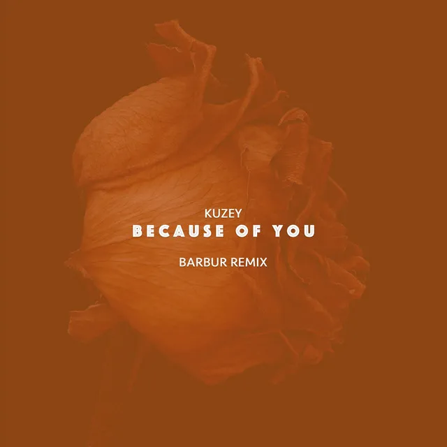 Because of You - Barbur Remix