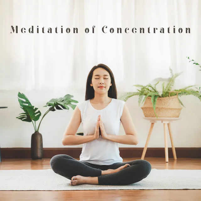 Meditation of Concentration. Delicate New Age Music that Allows You to Fight Distraction