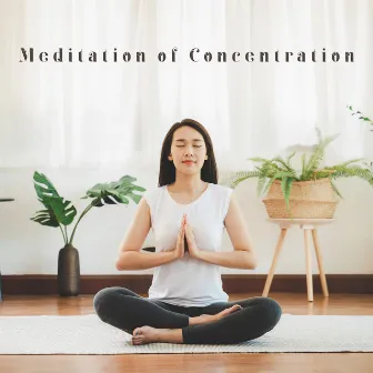 Meditation of Concentration. Delicate New Age Music that Allows You to Fight Distraction by Relaxing Distraction Therapy Zone