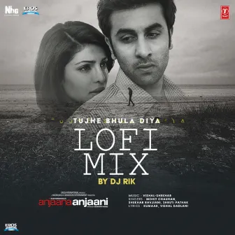 Tujhe Bhula Diya Lofi Mix by DJ Rik