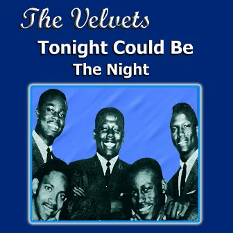 Tonight Could Be The Night by The Velvets