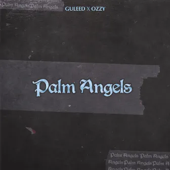 PALM ANGELS by Ozz6y