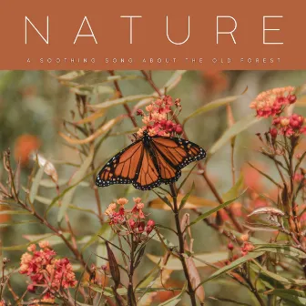 Nature: A Soothing Song About The Old Forest by Nature Lab