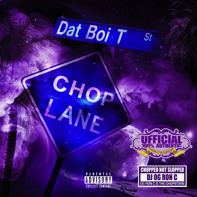 In My City - Chopped Not Slopped