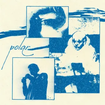 Polar by Shizui