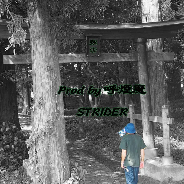 STRIDER