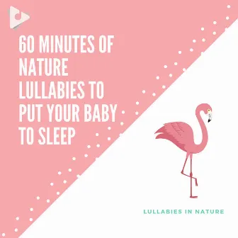 60 Minutes of Nature Lullabies to Put Your Baby to Sleep by Lullabies In Nature