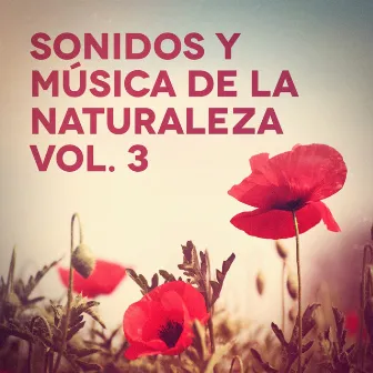 Sonidos y Música de la Naturaleza, Vol. 3 by Unknown Artist