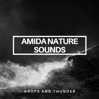 Drops And Thunder by Amida Nature Sounds