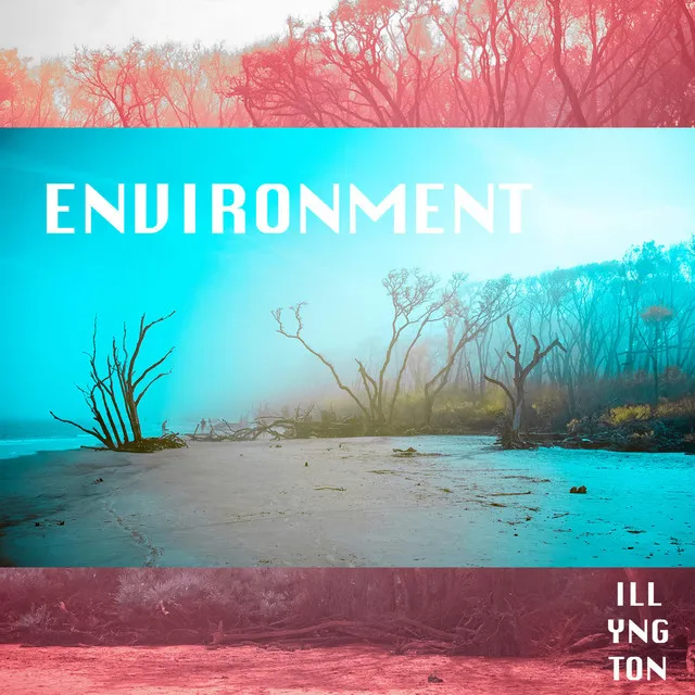 Environment - Instrumental