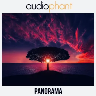 Panorama by Audiophant