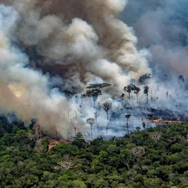 Polution In The Amazon