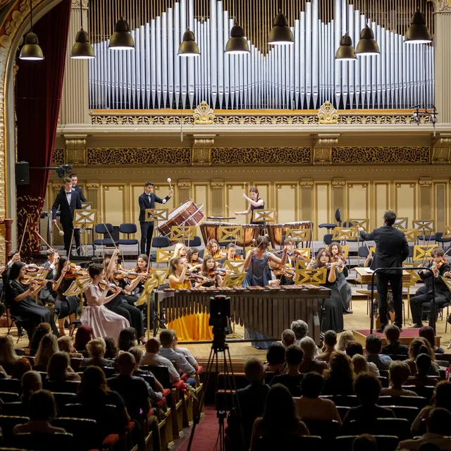 Romanian Concerto for Marimba, strings and percussion (part 1)