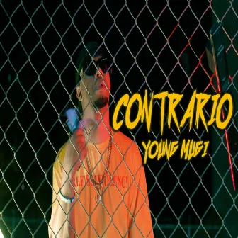 Contrario by Young Mugi