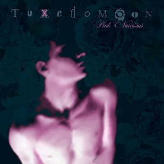 Pink Narcissus by Tuxedomoon