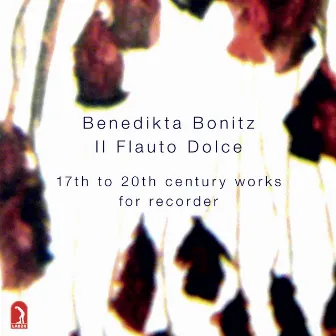 Il Flauto Dolce: 17th to 20th Century Works for Recorder by Benedikta Bonitz