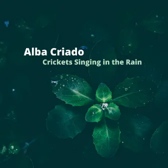 Crickets Singing in the Rain by Alba Criado