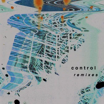 Control (Remixes) by QRTR