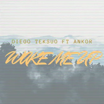 Wake Me Up - Reimagined by Diego Teksuo