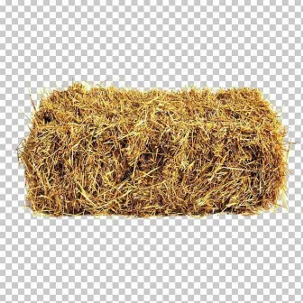 HAY by Hayd3n