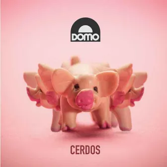 Cerdos by Domo