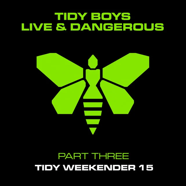 Bits + Pieces - Mixed - The Tidy Boys Remix