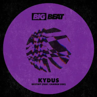 Destiny (feat. Camden Cox) by Kydus