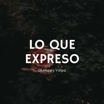 Lo Que Expreso by Lil Happy Valpa