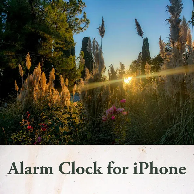 Alarm Clock for iPhone