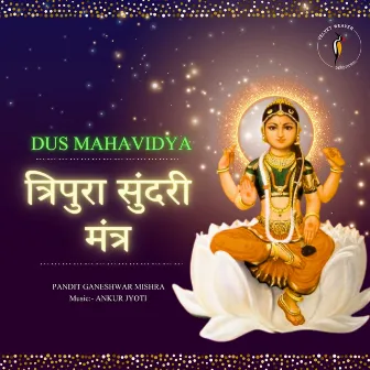 Dus Mahavidya Tripura Sundari Mantra by Pandit Ganeshwar Mishra