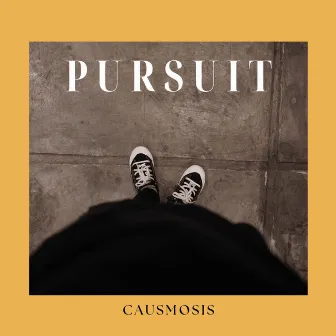 Pursuit by Causmosis