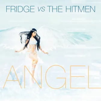 Angel by Fridge