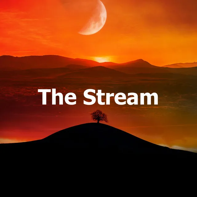 The Stream