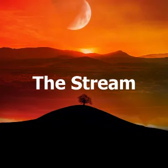 The Stream by Nature Collective