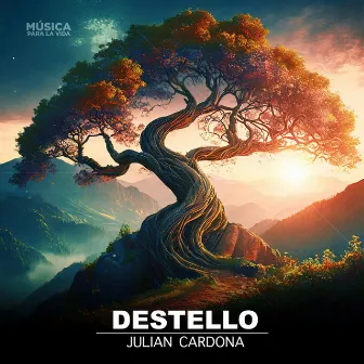 Destello by Julian Cardona