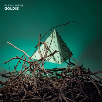 FABRICLIVE 58: Goldie by Goldie Glo