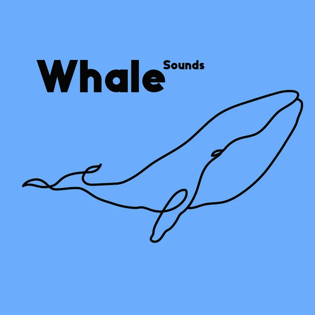 Whale Sounds