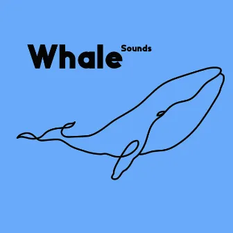 Whale Sounds – Deep Underwater Ocean World Relaxation by Animal Lovers