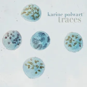 Traces by Karine Polwart