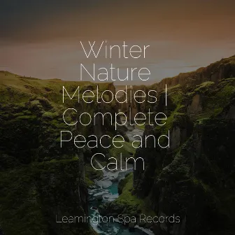 Winter Nature Melodies | Complete Peace and Calm by Natureza Musica Bem-Estar Academia