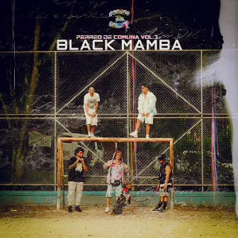 PERREO DE COMUNA VOL.1: BLACK MAMBA by Diaz la voz