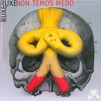 Non Temos Medo by Ruxe Ruxe