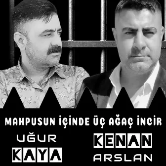 Mahpusun İçinde Üç Ağaç İncir by Uğur Kaya