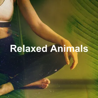 Relaxed Animals by The Cat Relaxer