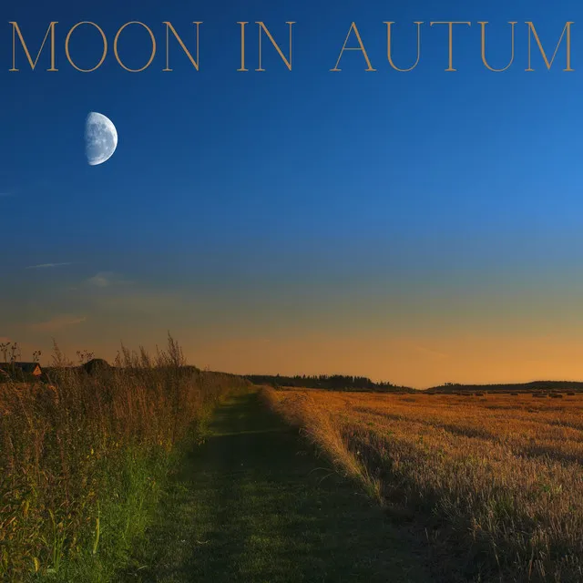 Moon In Autum - Deep Concentration Music Piano Edit